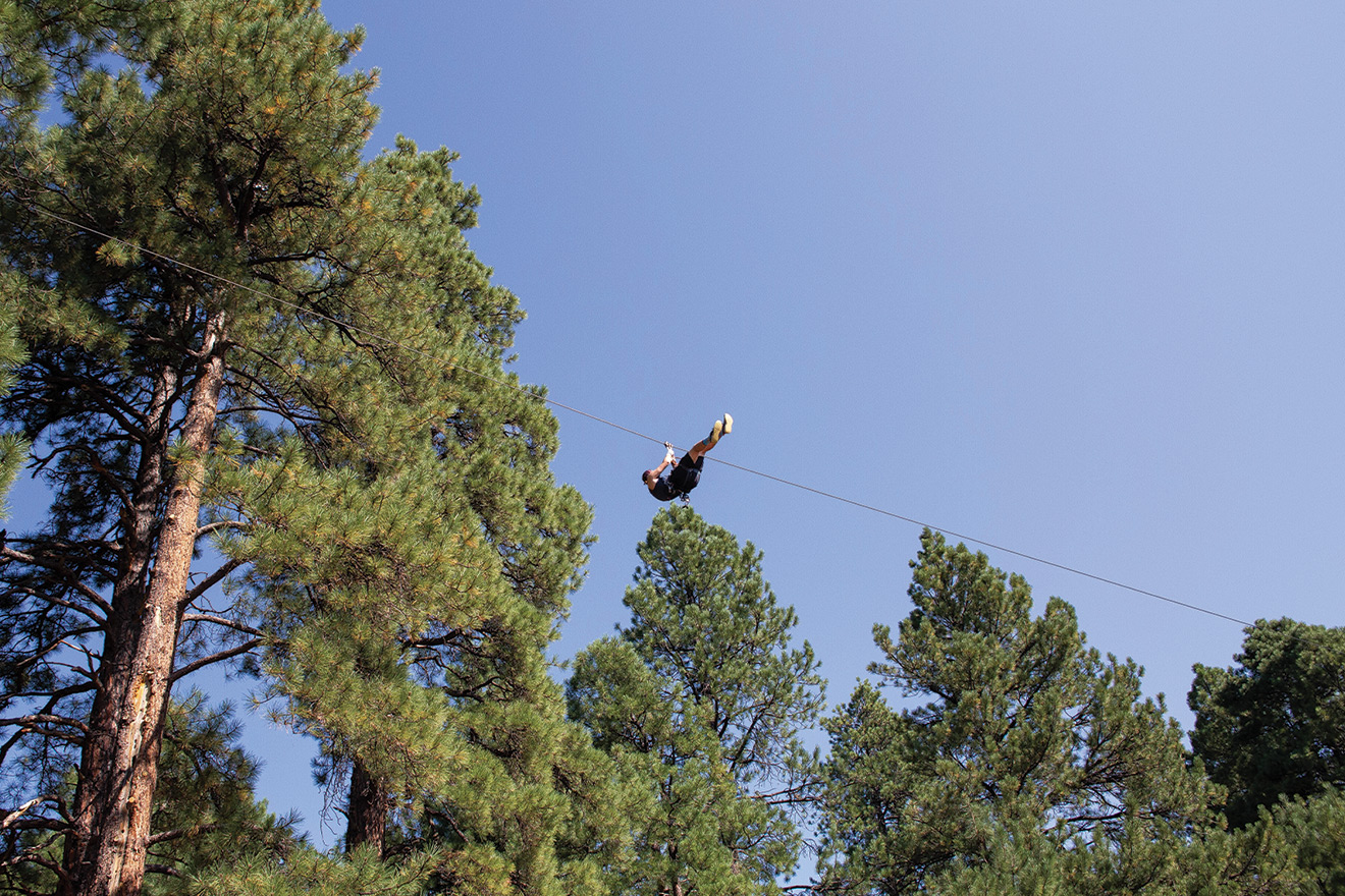 Zipline through ponderosa pines at Flagstaff Extreme Adventure Course