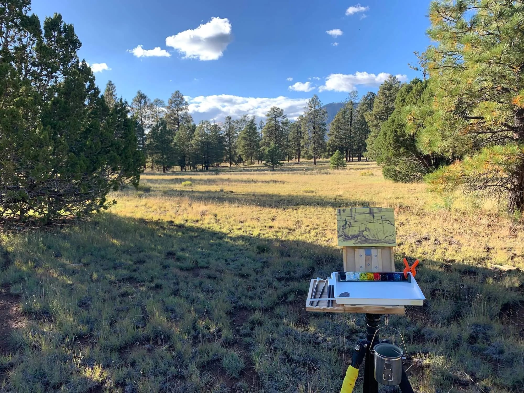 Plein air painter working outdoors in Flagstaff