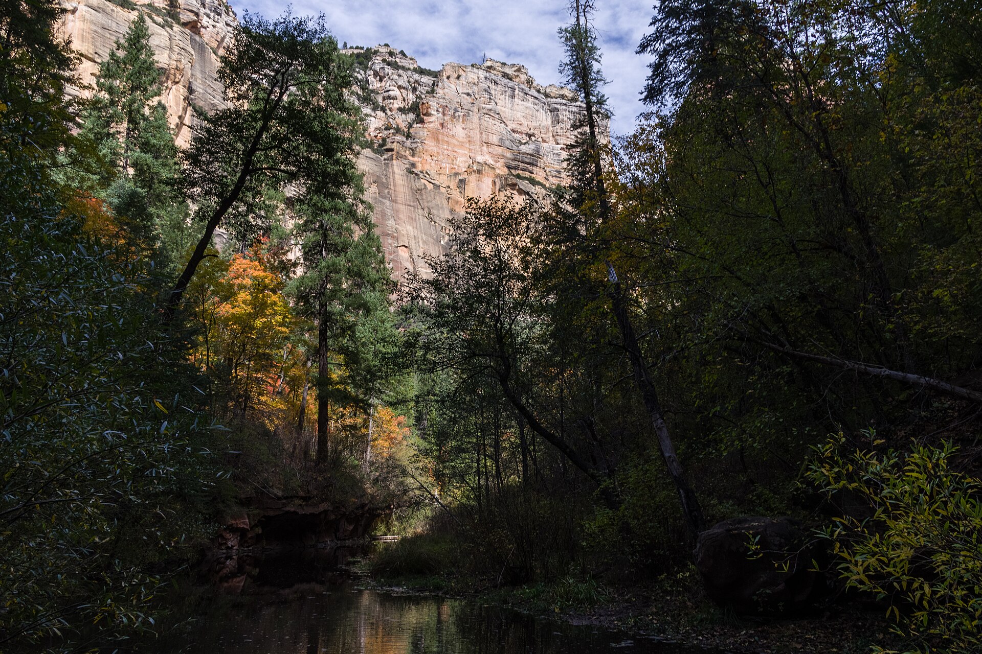 West Fork of Oak Creek Canyon in fall