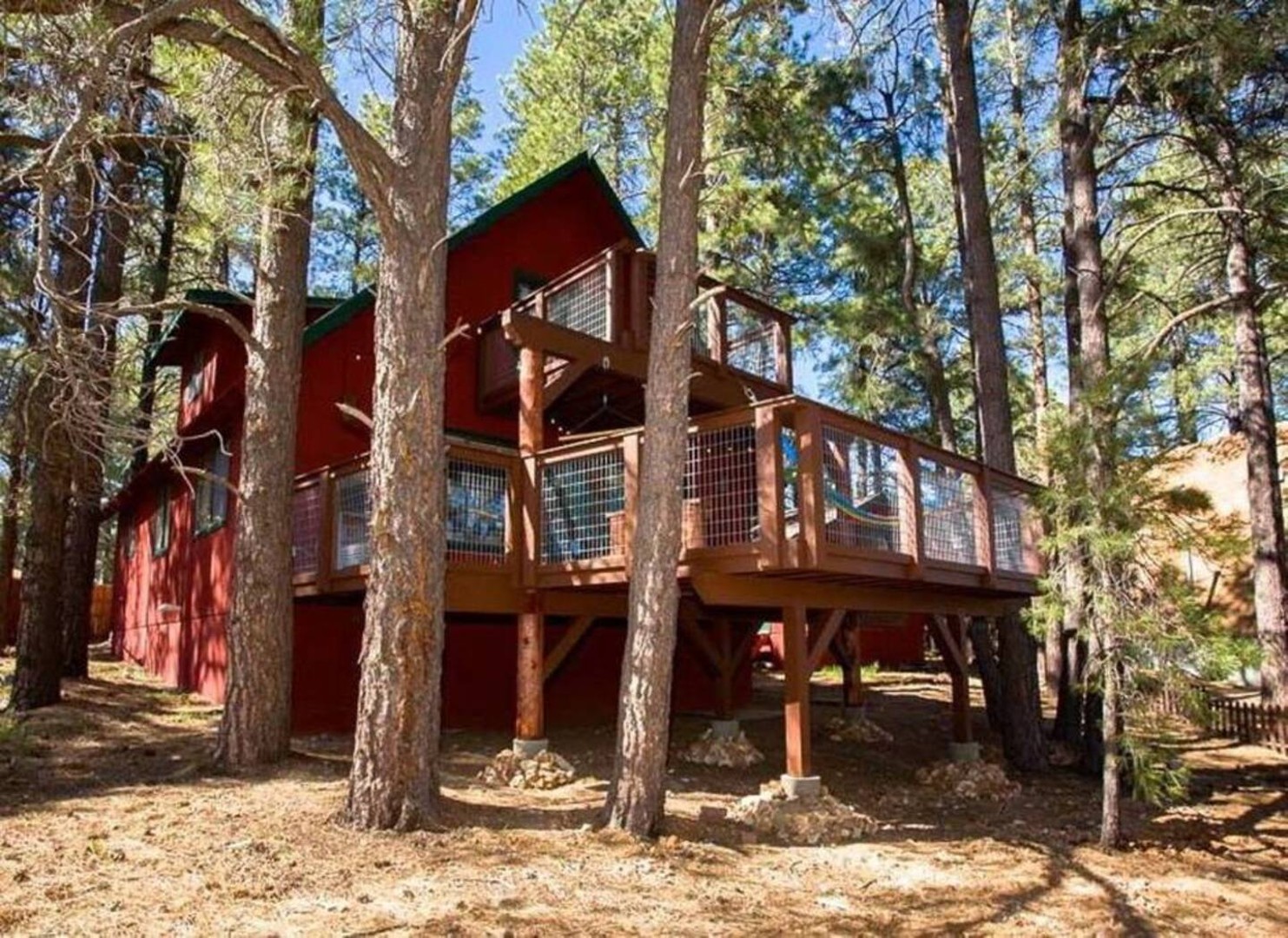 Double Decker Deck! Literally built into the forest and between the trees.