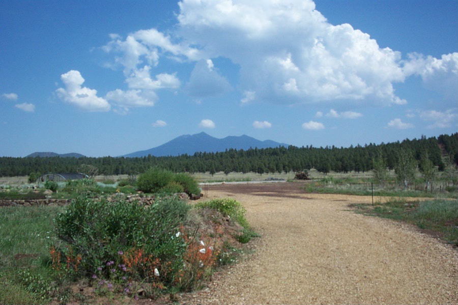 flagstaff Arboretum